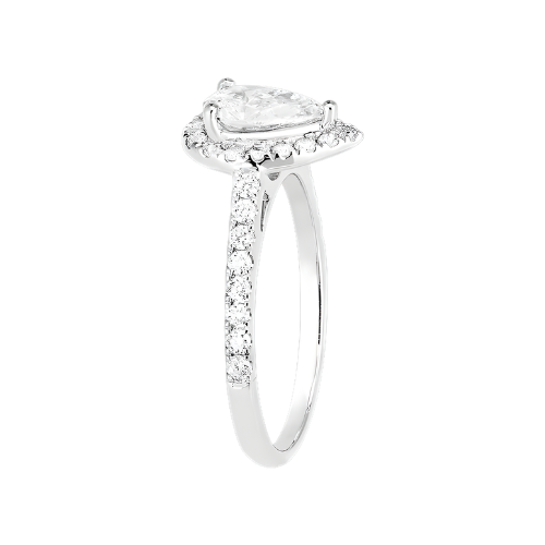 Coeur d’Aurore A.More