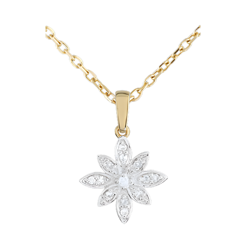 Secret d’Étoile A.More