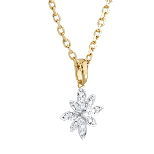 Secret d’Étoile A.More