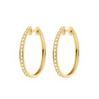 Éclat de Cercle A.More