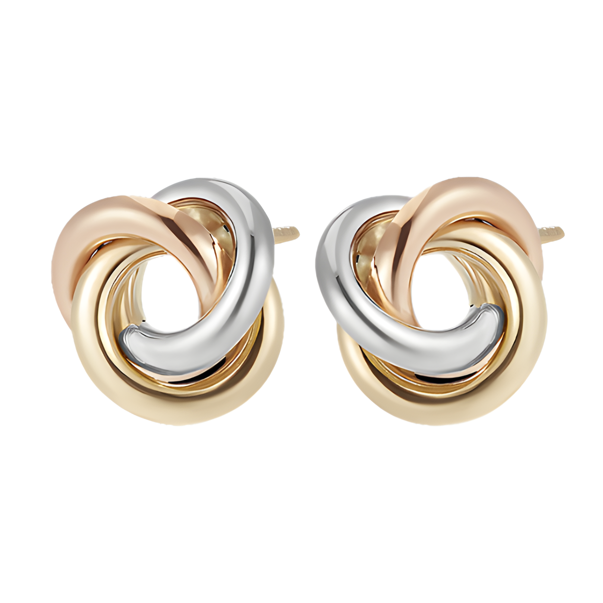 Rose du Crépuscule A.More No. 2