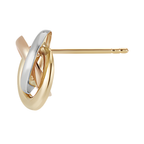 Rose du Crépuscule A.More No. 2