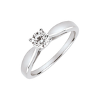 Trésor de Minuit A.More No. 1