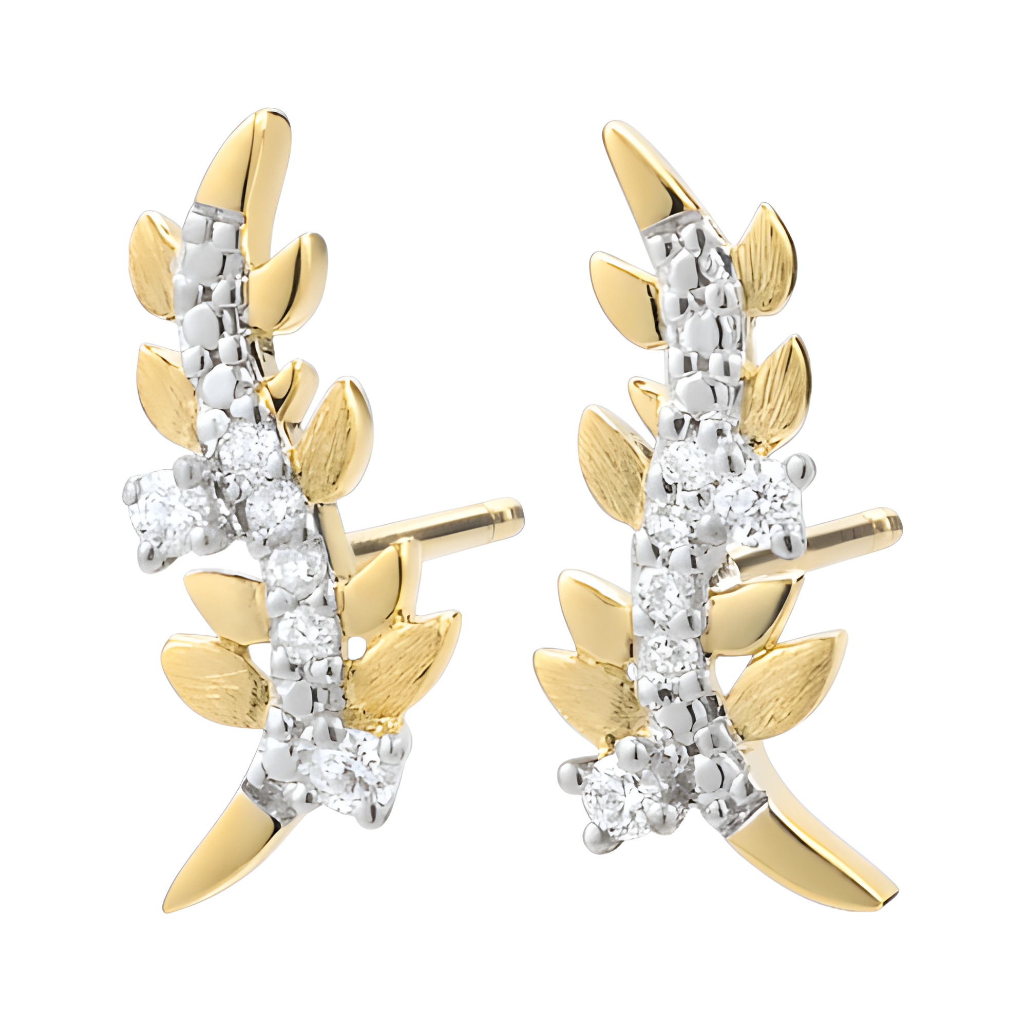 Feuille Royale A.More